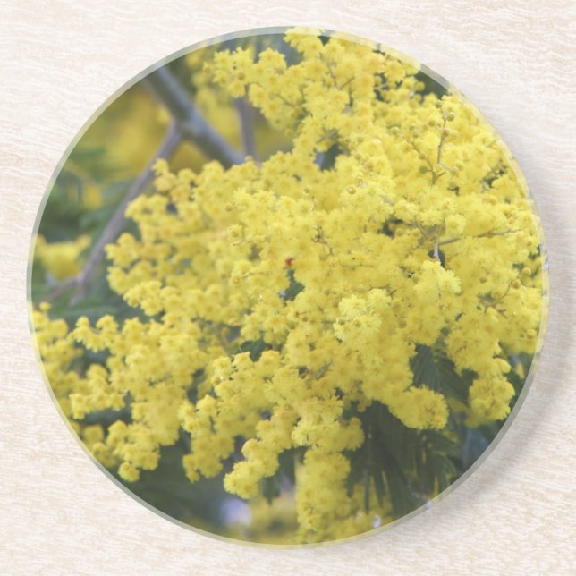 Dessous De Verre En Grès Branche de mimosa (Devant)