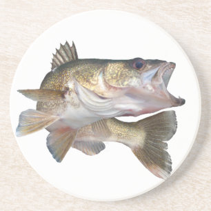 Dessous De Verre En Grès Brochets vairons de pêche
