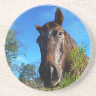 Dessous De Verre En Grès Brown et crème Couleur Cheval bleu ciel
