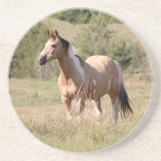 Dessous De Verre En Grès Buckskin Tobiano Horse Posing in Pasture Photo