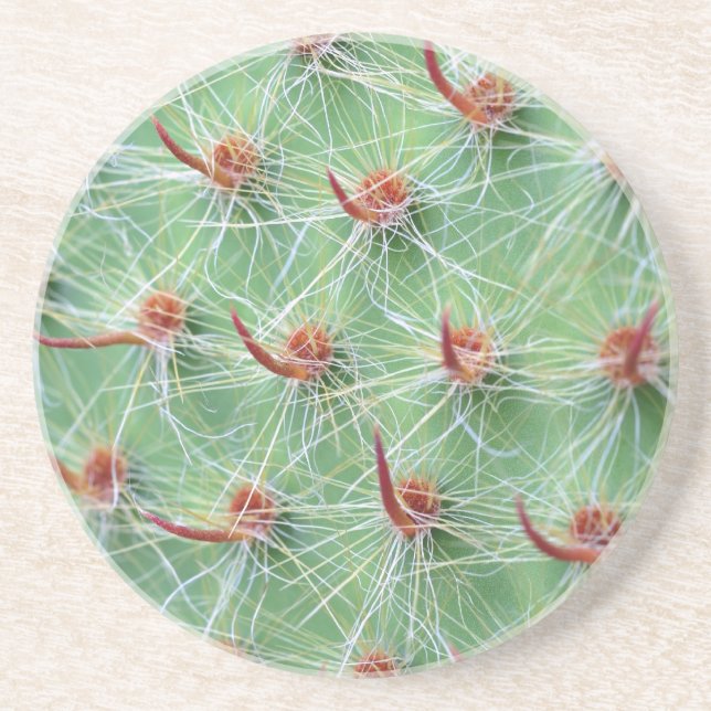 Dessous De Verre En Grès cactus (Devant)