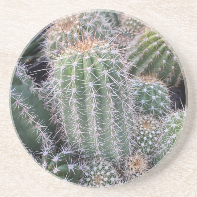 Dessous De Verre En Grès Cactus (Devant)