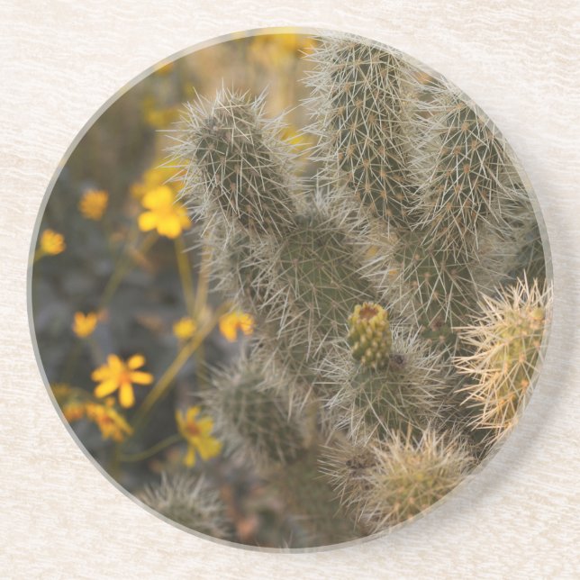 Dessous De Verre En Grès cactus et fleurs sauvages (Devant)