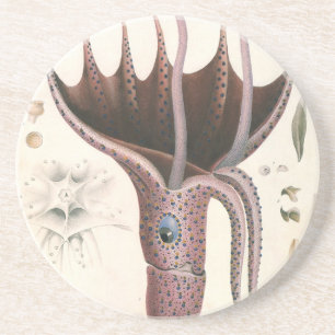 Dessous De Verre En Grès Calmar aux Parapluies, Animaux Vintages de la Mari