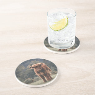 Dessous De Verre En Grès Campagne d'herbe d'automne de la vache de haute-te