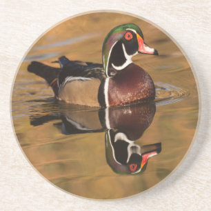 Dessous De Verre En Grès Canard à bois sur Golden Lake