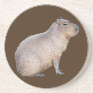 Dessous De Verre En Grès Capybara