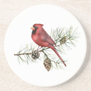 Dessous De Verre En Grès Cardinal rouge sur les cônes de pin