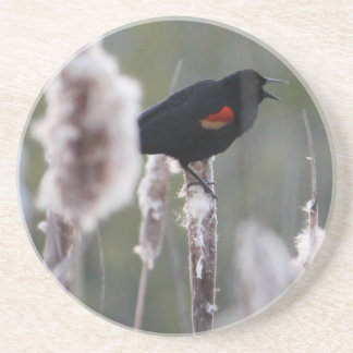 Dessous De Verre En Grès Carouge à épaulettes (Agelaius phoeniceus)