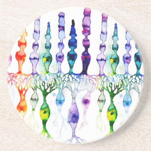 Dessous De Verre En Grès Cellules de cône, cellules de la tige et neurones