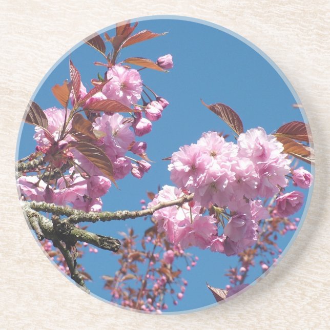 Dessous De Verre En Grès Cerisier en fleurs (Devant)