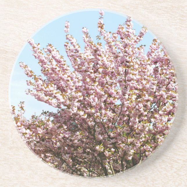 Dessous De Verre En Grès Cerisier en fleurs (Devant)