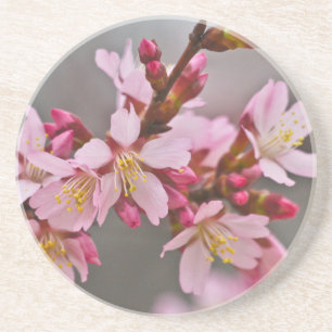 Dessous De Verre En Grès Cerisiers Japonais Roses Contre Un Ciel Gris