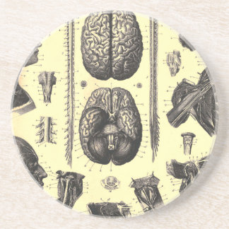 Dessous De Verre En Grès Cerveau anatomique et plus