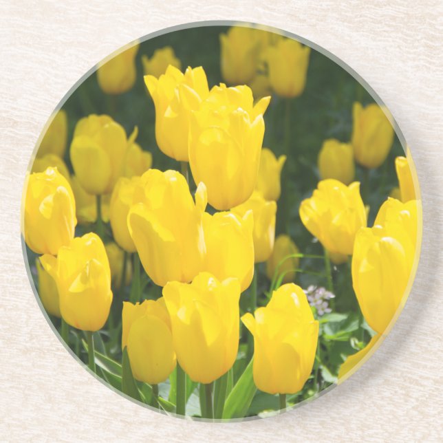 Dessous De Verre En Grès Champ de tulipes jaune vif (Devant)