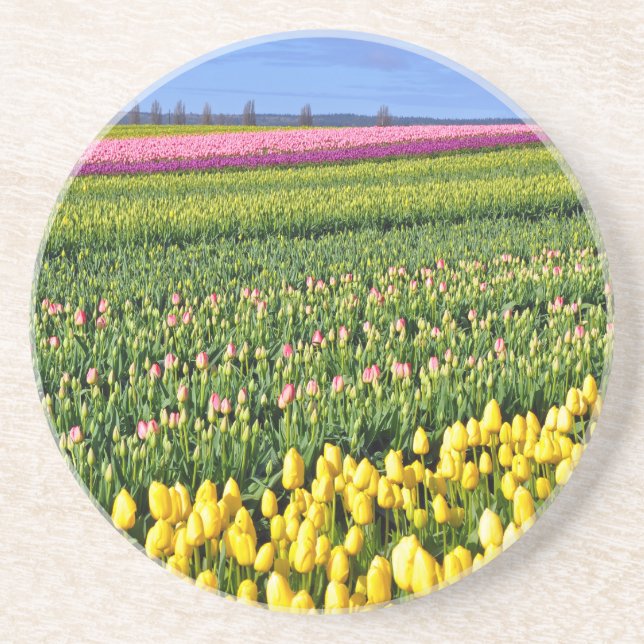 Dessous De Verre En Grès Champ des tulipes de printemps (Devant)