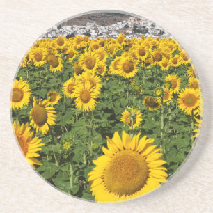 Dessous De Verre En Grès Champs de tournesols, ville de collines blanches d