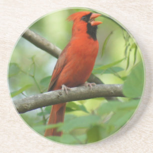 Dessous De Verre En Grès Chant de cardinal de Pappa !