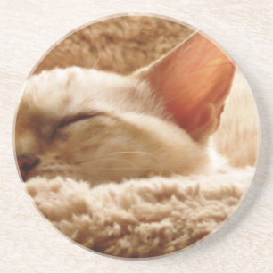 Dessous De Verre En Grès Chat couché