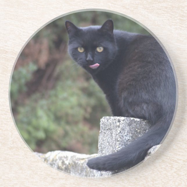 Dessous De Verre En Grès Chat noir (Devant)