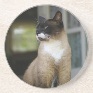 Dessous De Verre En Grès Chat siamois sur le porche