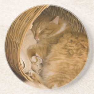 Dessous De Verre En Grès Chat tigré orange dormant dans un panier
