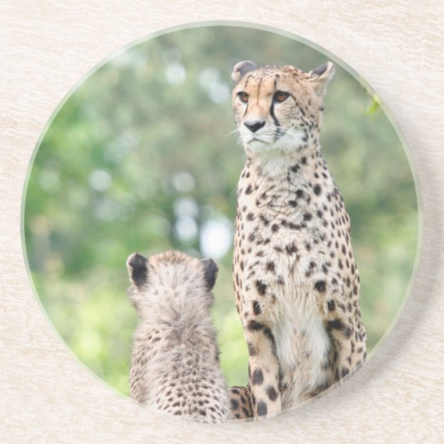 Dessous De Verre En Grès Cheetah 004 (Devant)
