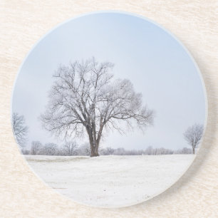 Dessous De Verre En Grès Chêne d'hiver surligné