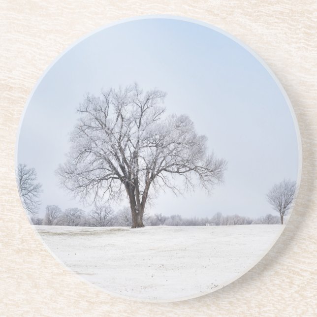 Dessous De Verre En Grès Chêne d'hiver surligné (Devant)