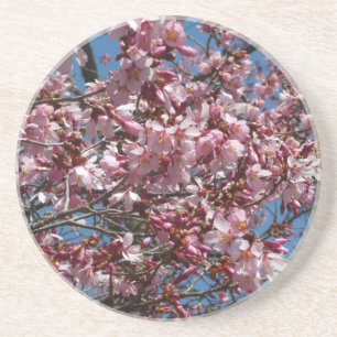 Dessous De Verre En Grès Cherry Blossoms et Blue Sky Spring Floral