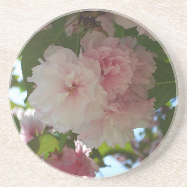 Dessous De Verre En Grès Cherry Tree I Spring Floral (Devant)