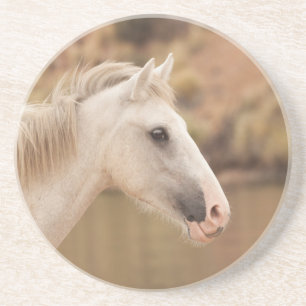 Dessous De Verre En Grès Cheval blanc