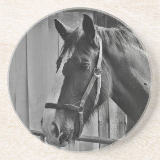 Dessous De Verre En Grès Cheval blanc noir - Art de la photographie animale
