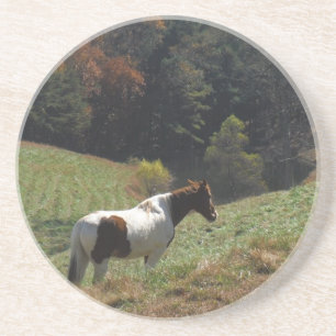 Dessous De Verre En Grès Cheval Brown et blanc à l'étang d'automne