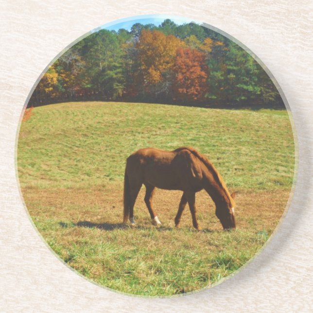 Dessous De Verre En Grès Cheval Brown rouge dans les arbres d'automne (Devant)