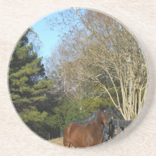 Dessous De Verre En Grès Cheval brun contre une clôture
