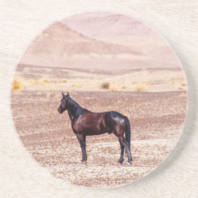 Dessous De Verre En Grès Cheval du désert P8664 (Devant)