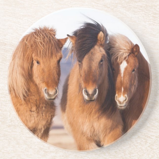Dessous De Verre En Grès Cheval islandais en hiver (Devant)