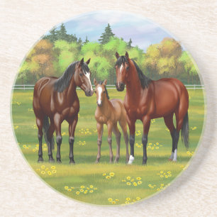 Dessous De Verre En Grès Chevaux Du Quartier De La Baie Brown Dans Les Pâtu