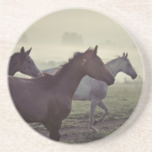 Dessous De Verre En Grès Chevaux sauvages
