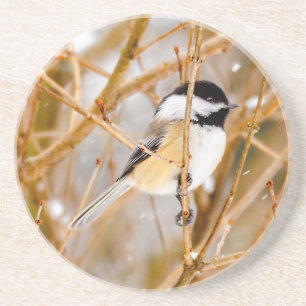 Dessous De Verre En Grès Chickadee au plafond noir - Photo originale