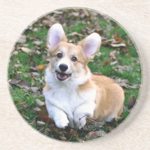 Dessous De Verre En Grès Chien de Corgi mignon qui bondit