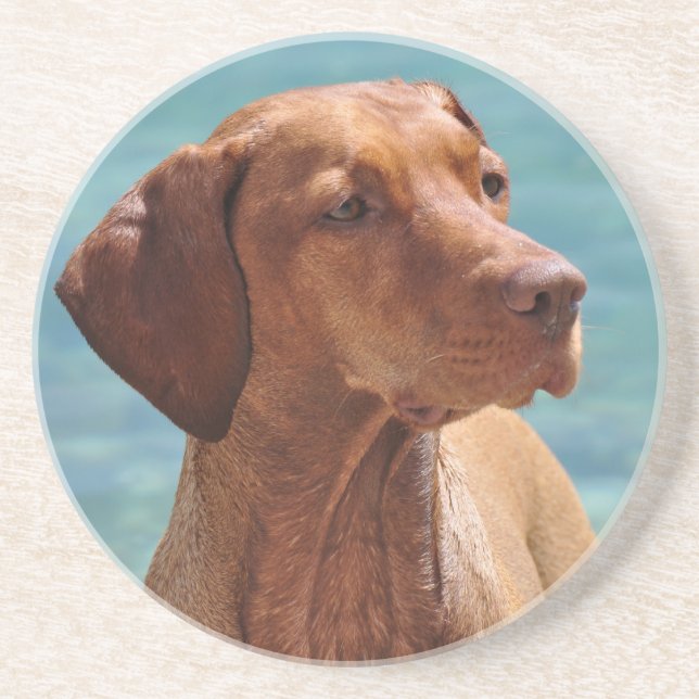 Dessous De Verre En Grès Chien Magyar Vizsla (Devant)