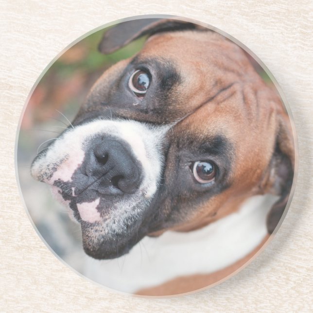 Dessous De Verre En Grès Chien mignon de boxeur (Devant)