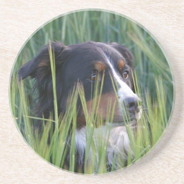 Dessous De Verre En Grès Chien mouton dans l'herbe (Devant)