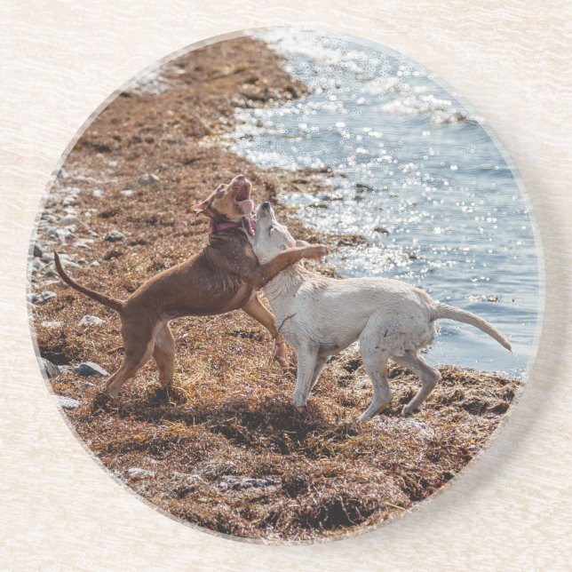 Dessous De Verre En Grès Chiens sur la plage (Devant)