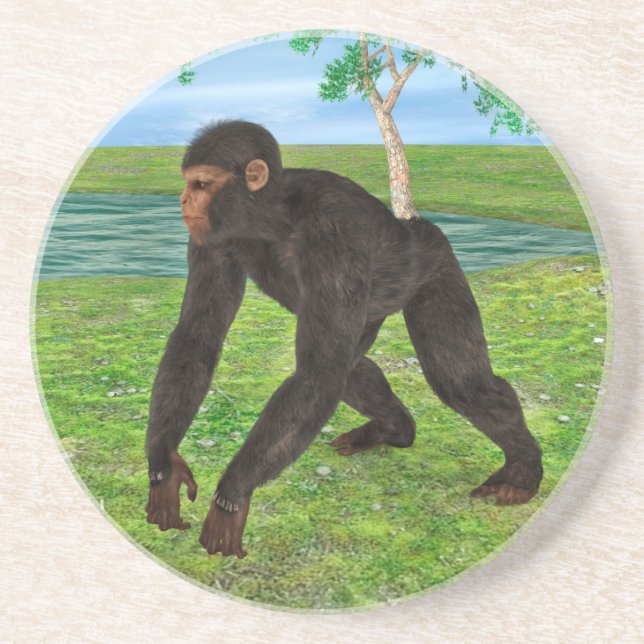 Dessous De Verre En Grès Chimpanzé (Devant)