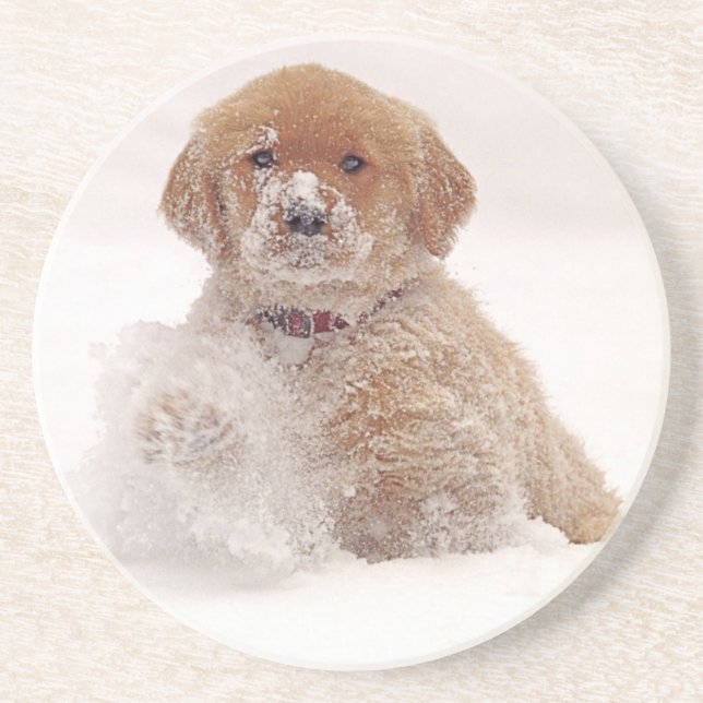 Dessous De Verre En Grès Chiots Golden Retriever dans la neige (Devant)