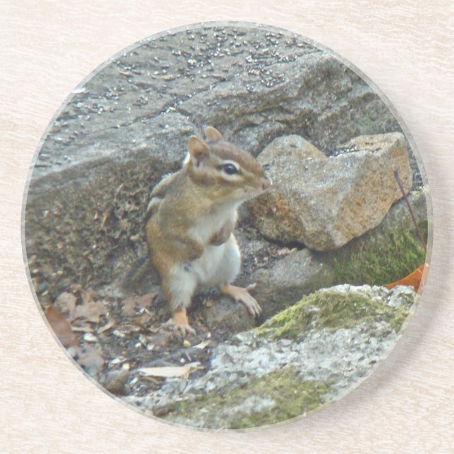 Dessous De Verre En Grès Chipmunk on Rock Items (Devant)