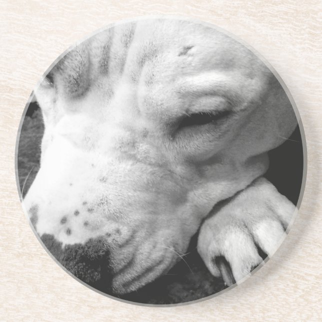 Dessous De Verre En Grès cicatrice de harry potter chien pit bull blanc (Devant)